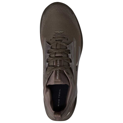 Nike Pegasus Trail 5 Gore-Tex